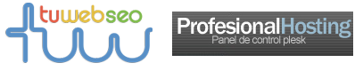 banner-hostint.profesional-WEB